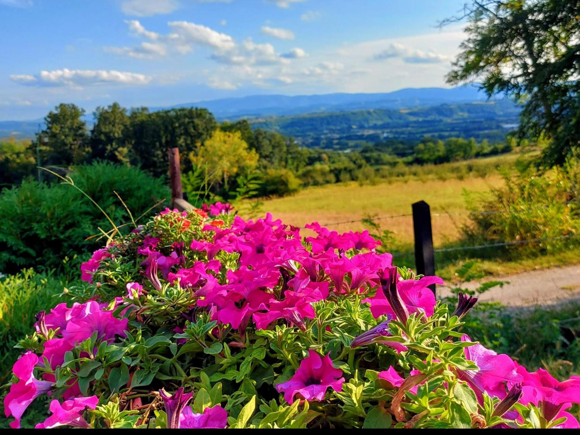 Kuca Za Uzivanje Valjevo Exterior foto